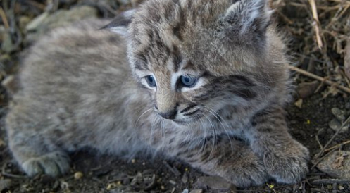 Unterstützung für Tierschutzgruppe Havel-Elbe-Tanger