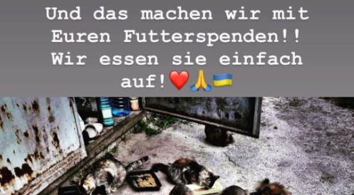 Unterstützung für die Ukraine