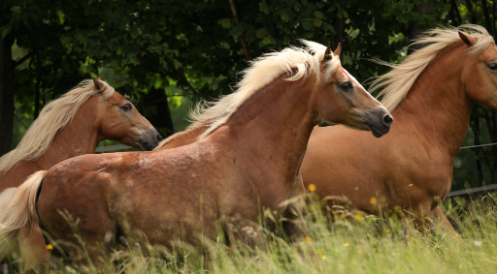 Das sind unsere