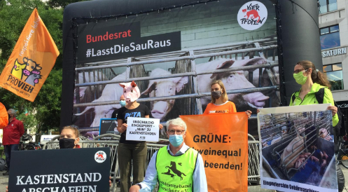 Mit einer Übergangsfrist von acht Jahren: