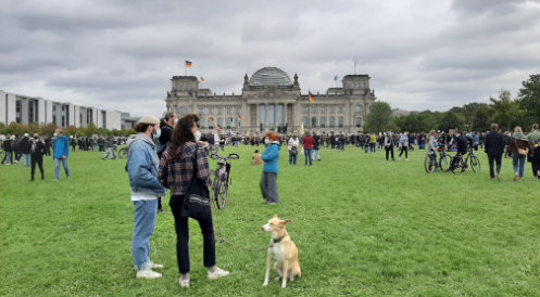 Tierschutz in den Koalitionsvertrag