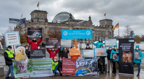 Tierschutz gehört in den Koalitionsvertrag