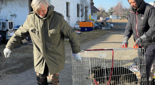 Zum Krieg in der Ukraine