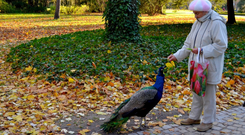 Seniorenheime mit Tierhaltung
