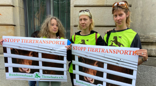 Mahnwache Tiertransporte