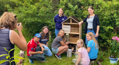 Wie baut man ein Insektenhotel?