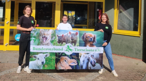 Grundschule an der Heide